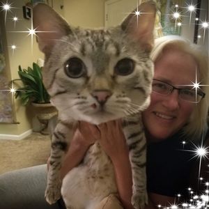 Meet your Posher, Shannon